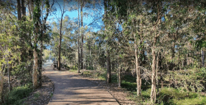 Berrinba Wetlands