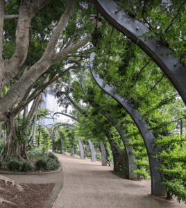 South Bank Parklands