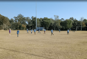 Attractions and Landmarks in Jimboomba, QLD Tree Lopping Logan Co 1 Park Ridge Panthers FC